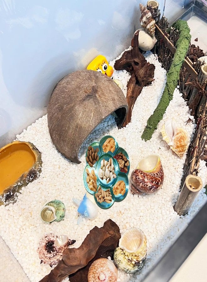 Delllala 2 Pcs Hermit Crab Food Dish & Feeding Water Bowl,Hermit Crab Tank Accessories - Image 4